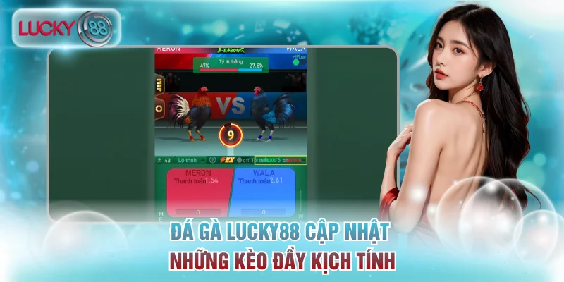 Đá gà Lucky88 cập nhật những kèo đầy kịch tính